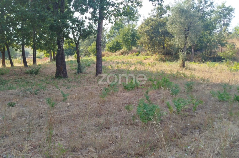 Terreno para Venda em Santiago de Cassurrães e Póvoa de Cervães Foto 25