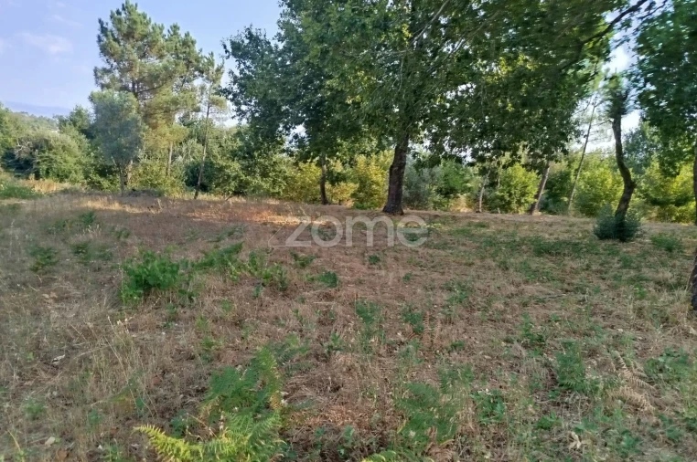 Terreno para Venda em Santiago de Cassurrães e Póvoa de Cervães Foto 27