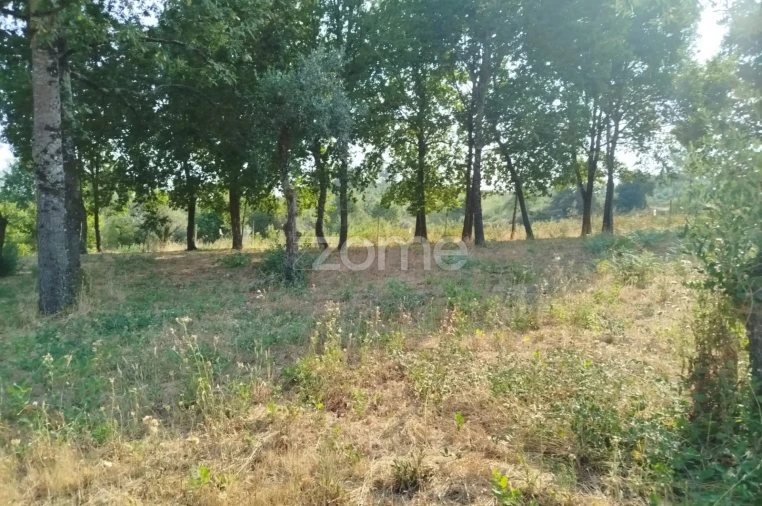 Terreno para Venda em Santiago de Cassurrães e Póvoa de Cervães Foto 29