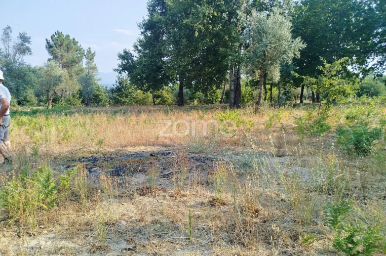 Terreno para Venda em Santiago de Cassurrães e Póvoa de Cervães Foto 31