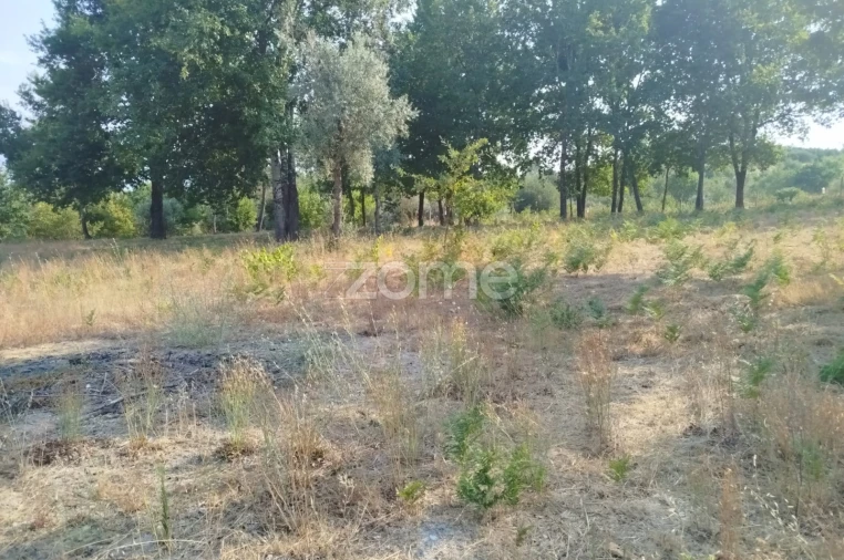 Terreno para Venda em Santiago de Cassurrães e Póvoa de Cervães Foto 32