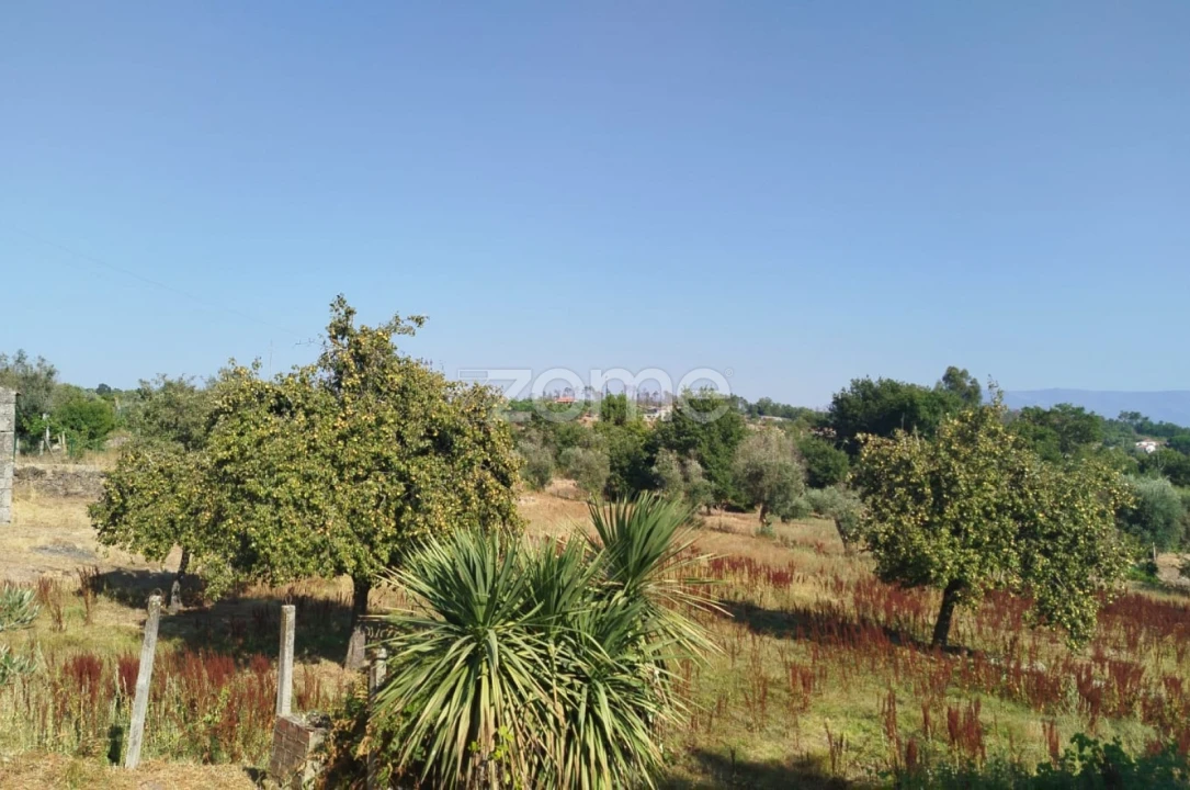 Terreno para Venda em Santiago de Cassurrães e Póvoa de Cervães Foto 13