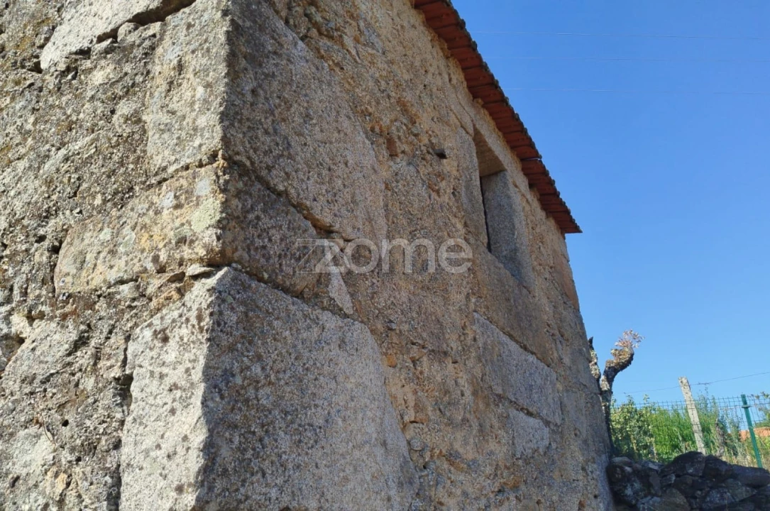 Terreno para Venda em Santiago de Cassurrães e Póvoa de Cervães Foto 16