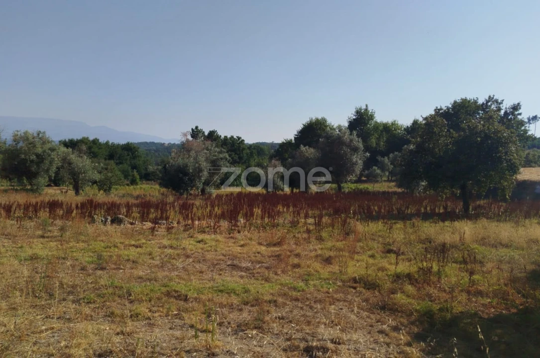 Terreno para Venda em Santiago de Cassurrães e Póvoa de Cervães Foto 18