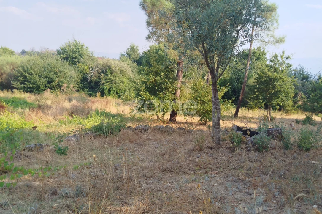 Terreno para Venda em Santiago de Cassurrães e Póvoa de Cervães Foto 22