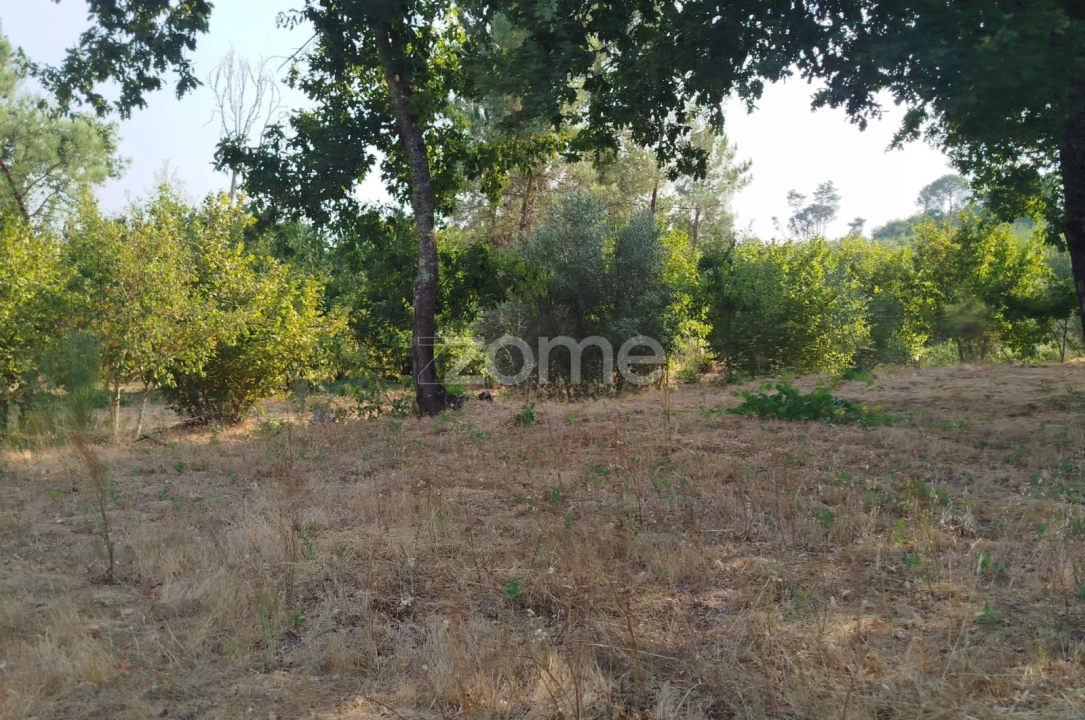 Terreno para Venda em Santiago de Cassurrães e Póvoa de Cervães Foto 23