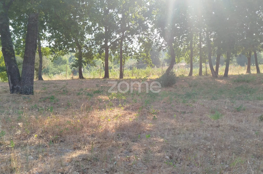 Terreno para Venda em Santiago de Cassurrães e Póvoa de Cervães Foto 24