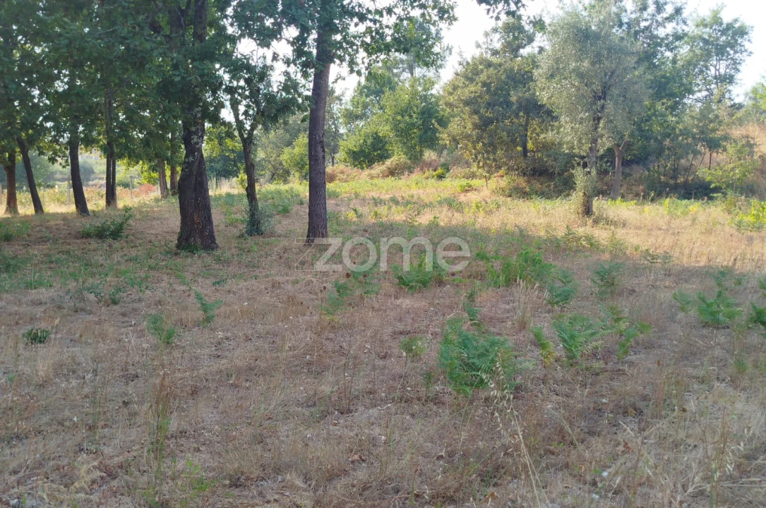 Terreno para Venda em Santiago de Cassurrães e Póvoa de Cervães Foto 25