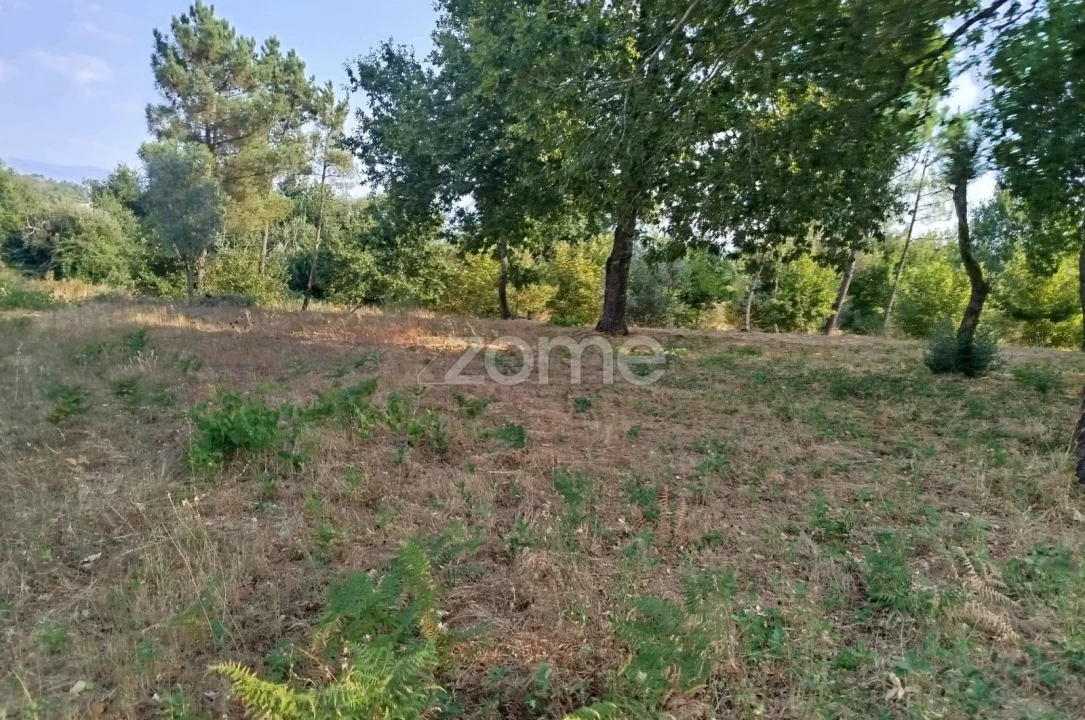 Terreno para Venda em Santiago de Cassurrães e Póvoa de Cervães Foto 27
