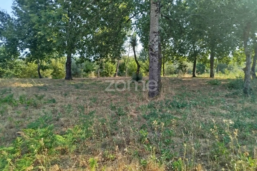 Terreno para Venda em Santiago de Cassurrães e Póvoa de Cervães Foto 28