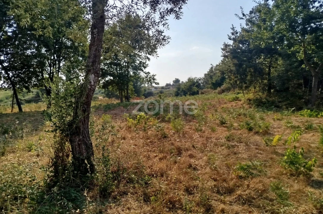 Terreno para Venda em Santiago de Cassurrães e Póvoa de Cervães Foto 30