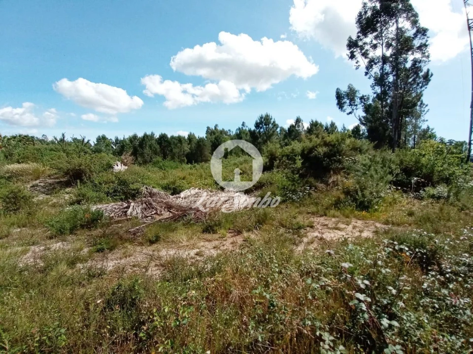 Terreno Agricola ou Rústico para Venda em Ucha Foto 2