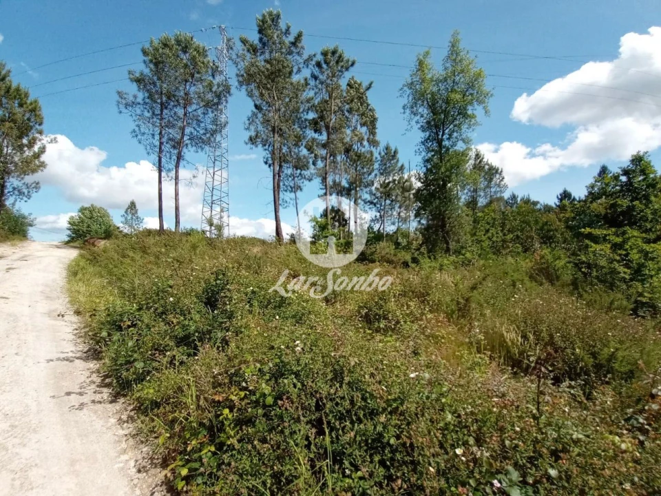 Terreno Agricola ou Rústico para Venda em Ucha Foto 4
