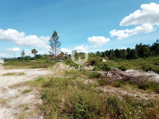 Terreno Agricola ou Rústico para Venda em Ucha Foto 1