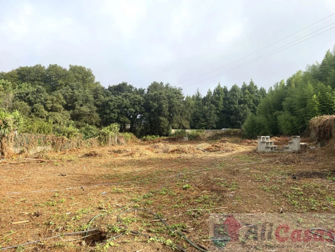 Moradia T3 para Venda em Santa Maria de Lamas Foto 8