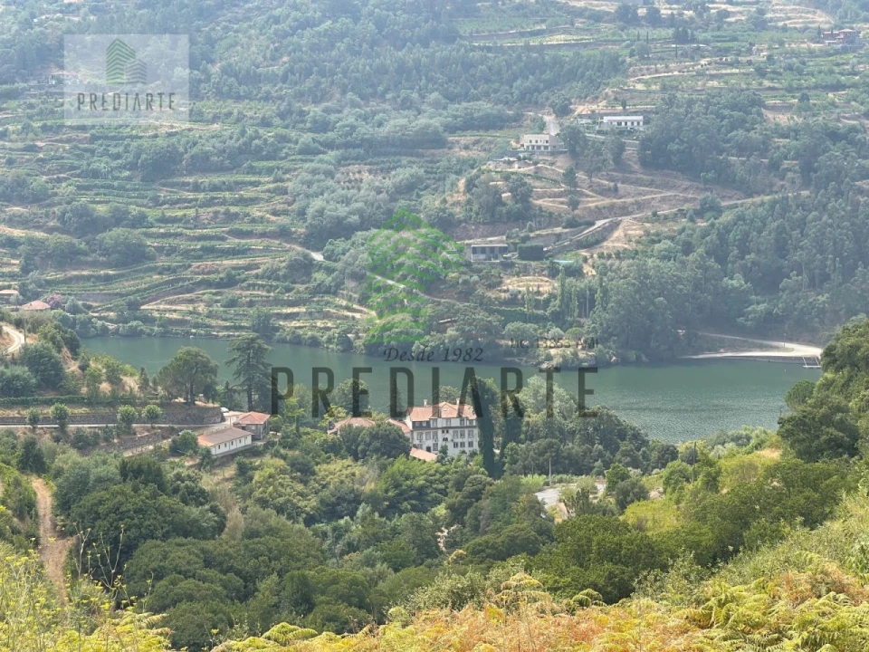 Quinta para Venda em Santa Marinha do Zezere Foto 2