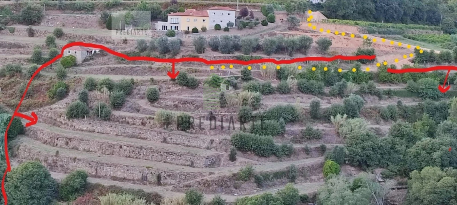 Quinta para Venda em Santa Marinha do Zezere Foto 4