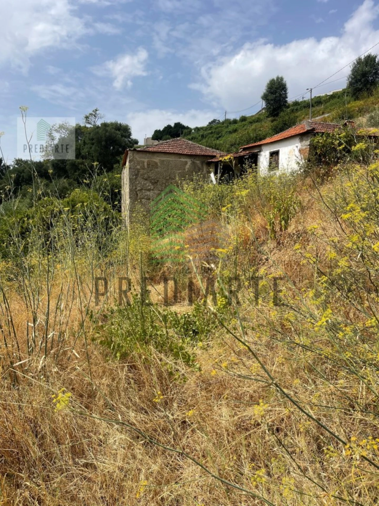 Quinta para Venda em Santa Marinha do Zezere Foto 8
