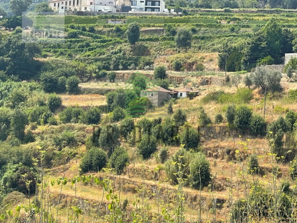 Quinta para Venda em Santa Marinha do Zezere Foto 10