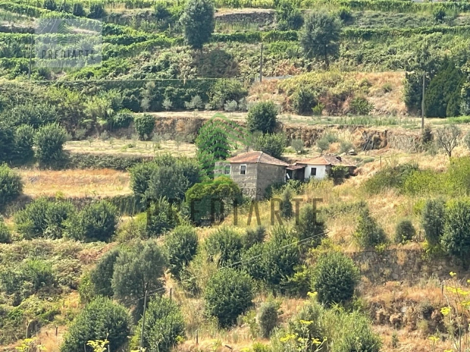 Quinta para Venda em Santa Marinha do Zezere Foto 11