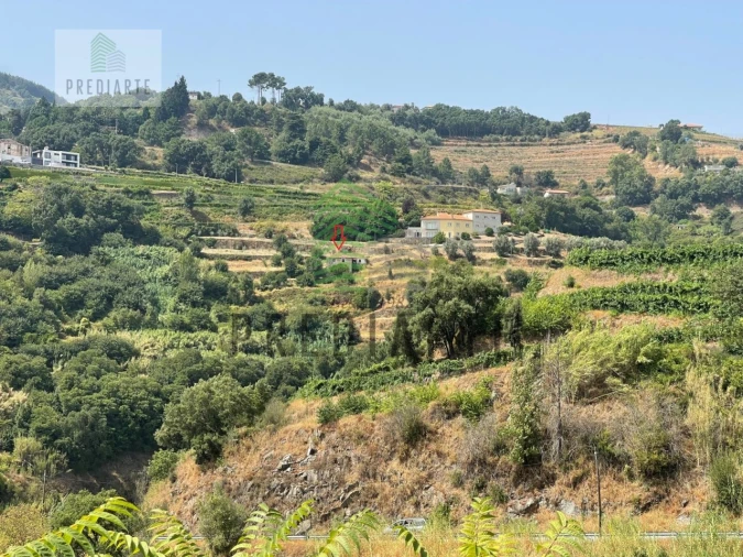 Quinta para Venda em Santa Marinha do Zezere Foto 5