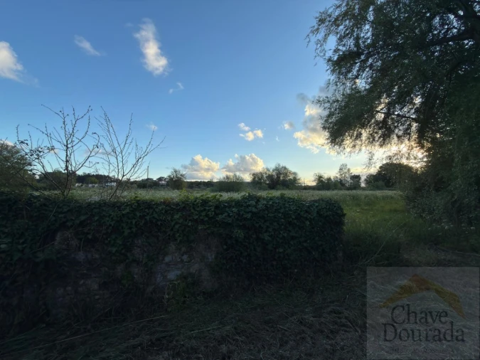 Apartamento T3 para Venda em Mealhada, Ventosa do Bairro e Antes Foto 30
