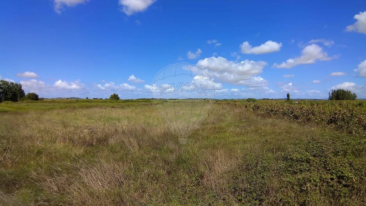 Terreno para Venda em Alpiarça Foto 4