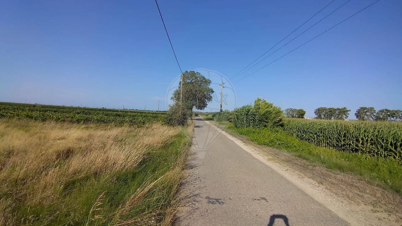 Terreno para Venda em Alpiarça Foto 2