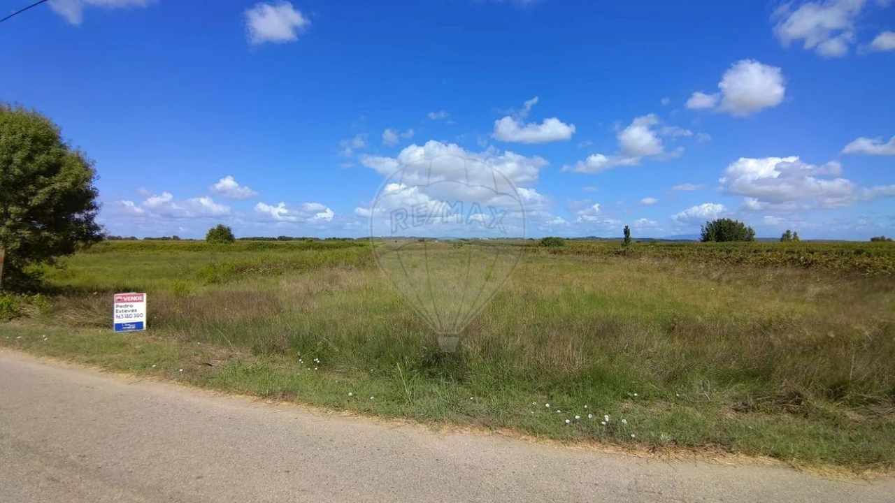 Terreno para Venda em Alpiarça Foto 3