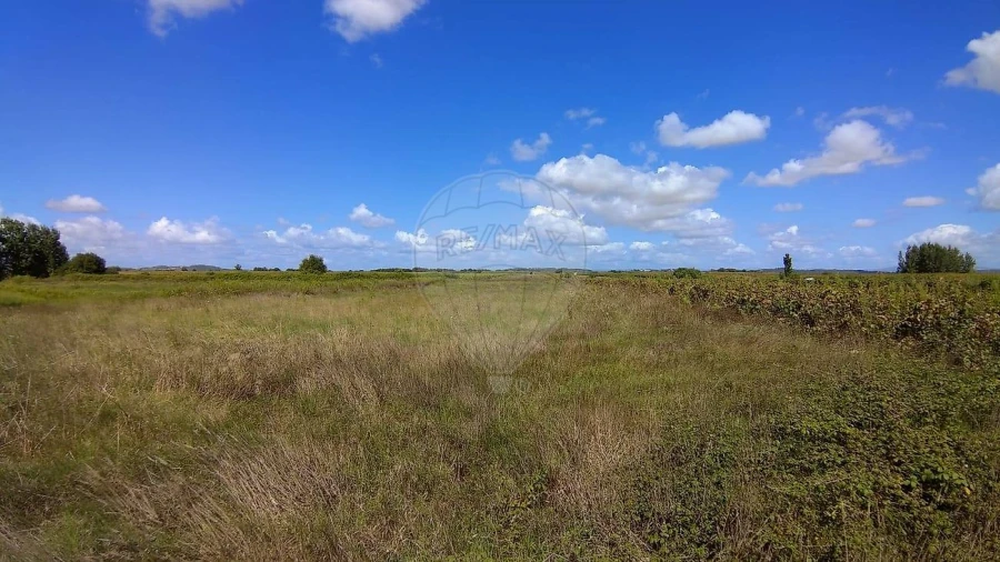 Terreno para Venda em Alpiarça Foto 4