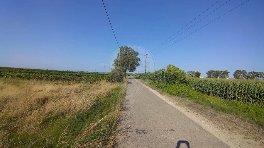 Terreno para Venda em Alpiarça Foto 2