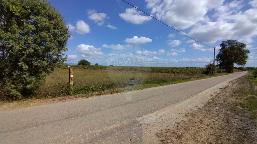 Terreno para Venda em Alpiarça Foto 5