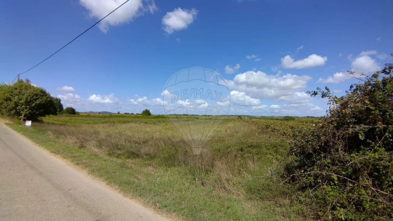 Terreno para Venda em Alpiarça Foto 1