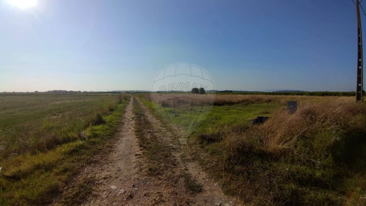 Terreno para Venda em Alpiarça Foto 8