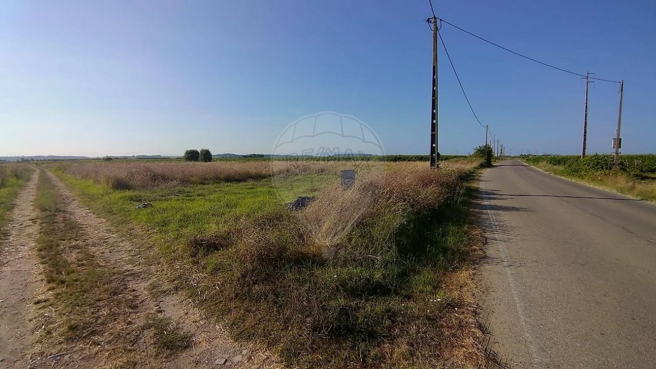 Terreno para Venda em Alpiarça Foto 1