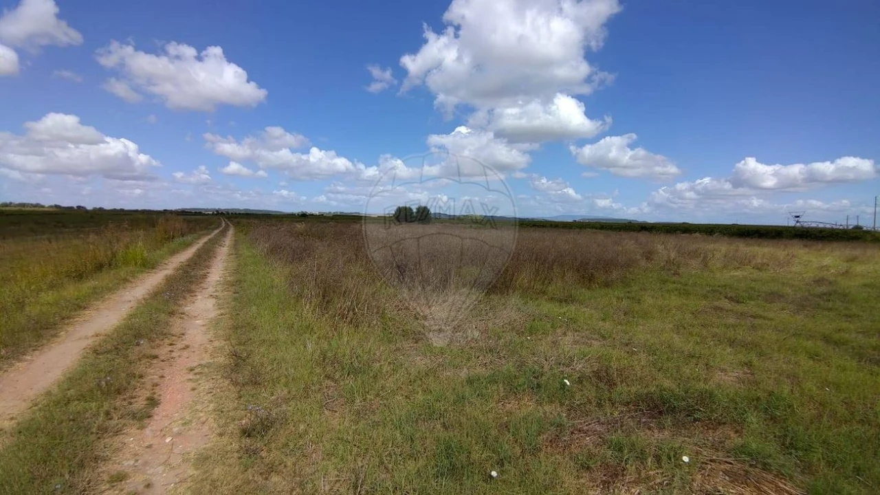 Terreno para Venda em Alpiarça Foto 10