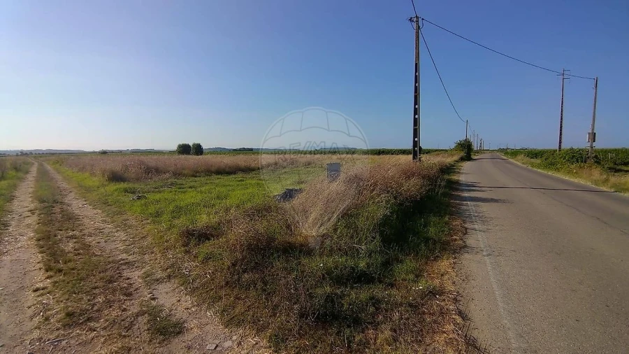 Terreno para Venda em Alpiarça