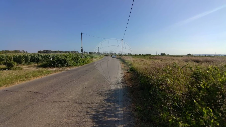 Terreno para Venda em Alpiarça Foto 3