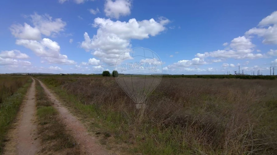 Terreno para Venda em Alpiarça Foto 11