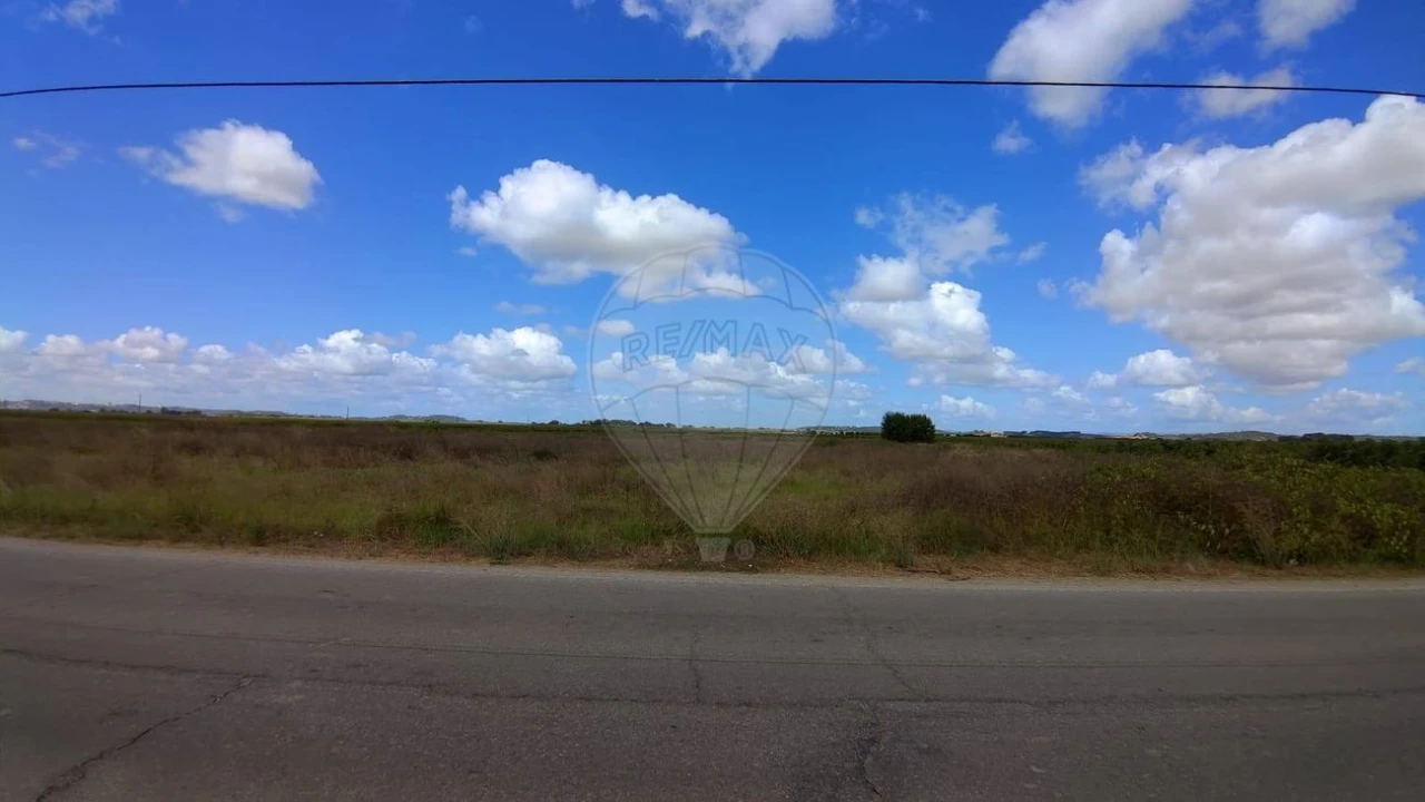 Terreno para Venda em Alpiarça Foto 5