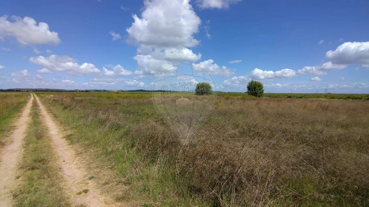 Terreno para Venda em Alpiarça Foto 13