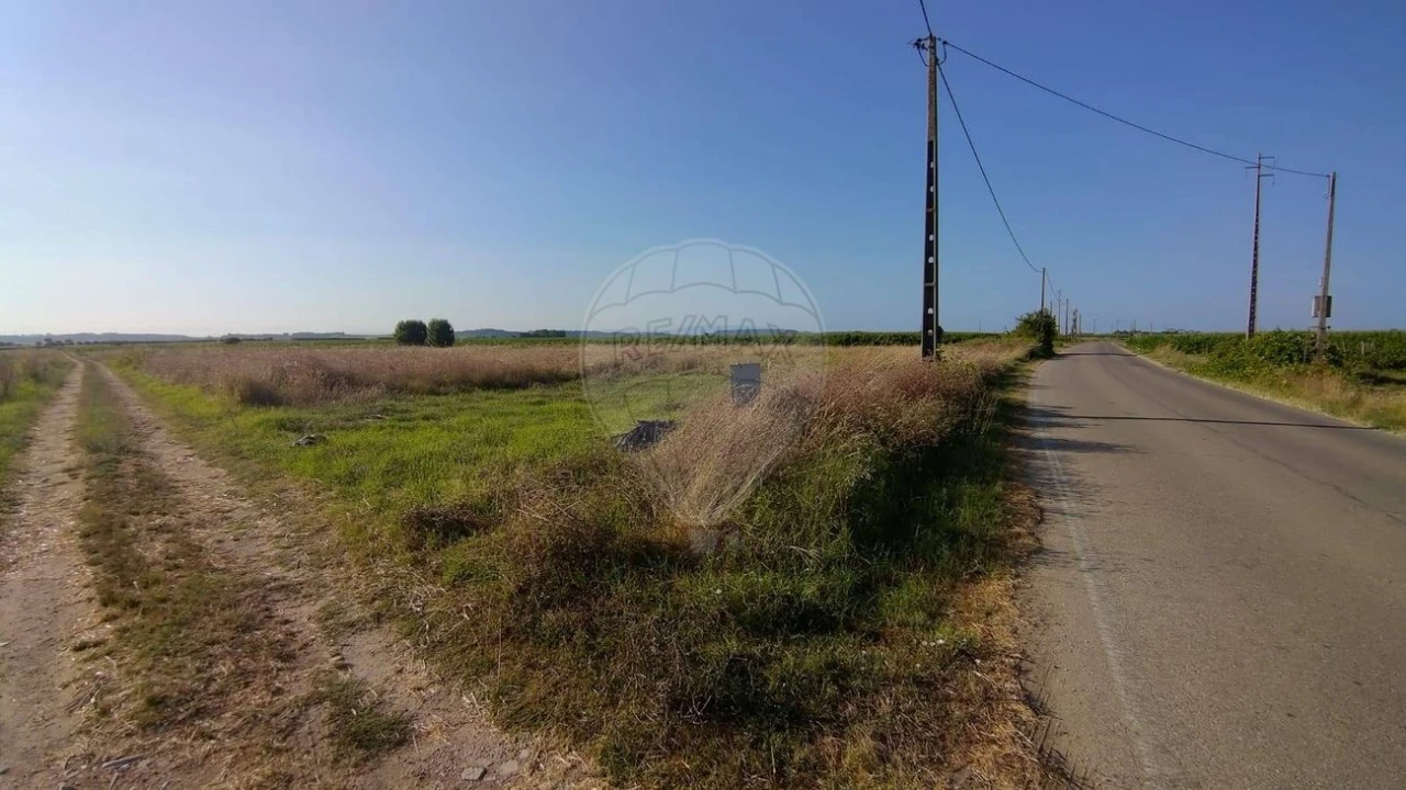 Terreno para Venda em Alpiarça Foto 9