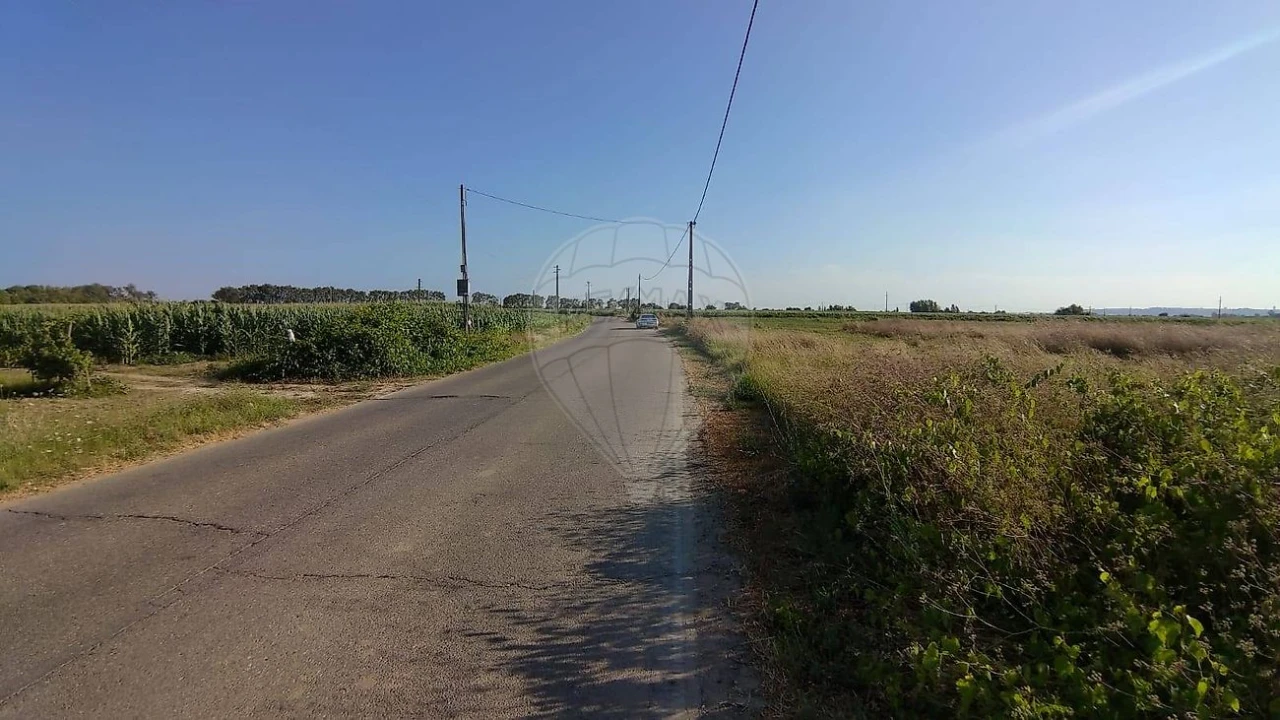 Terreno para Venda em Alpiarça Foto 2