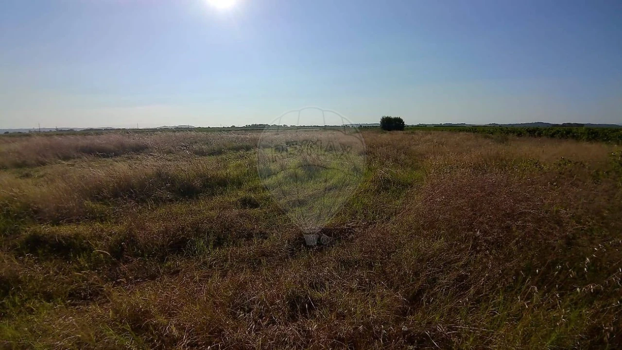 Terreno para Venda em Alpiarça Foto 4