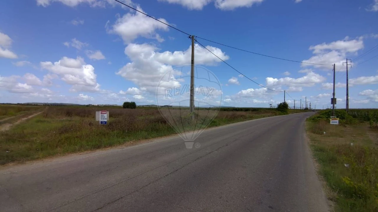 Terreno para Venda em Alpiarça Foto 6