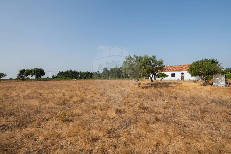 Quinta T2 para Venda em São Domingos e Vale de Água Foto 22