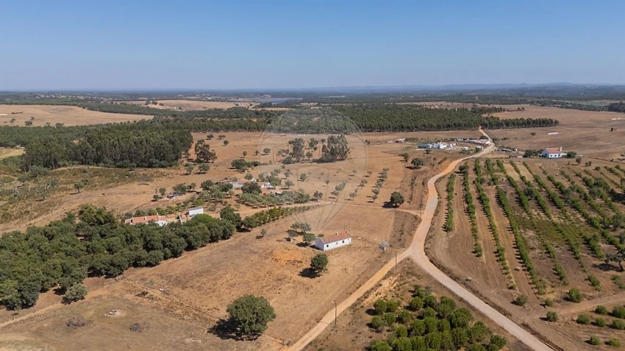 Quinta T2 para Venda em São Domingos e Vale de Água Foto 21