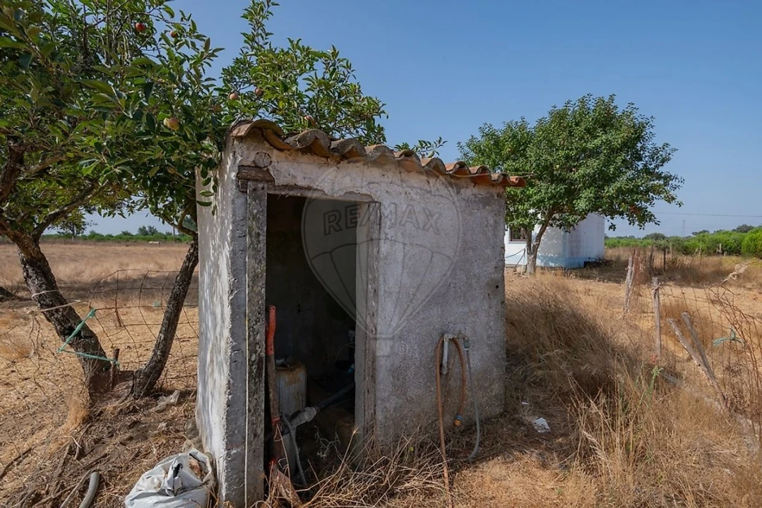Quinta T2 para Venda em São Domingos e Vale de Água Foto 19