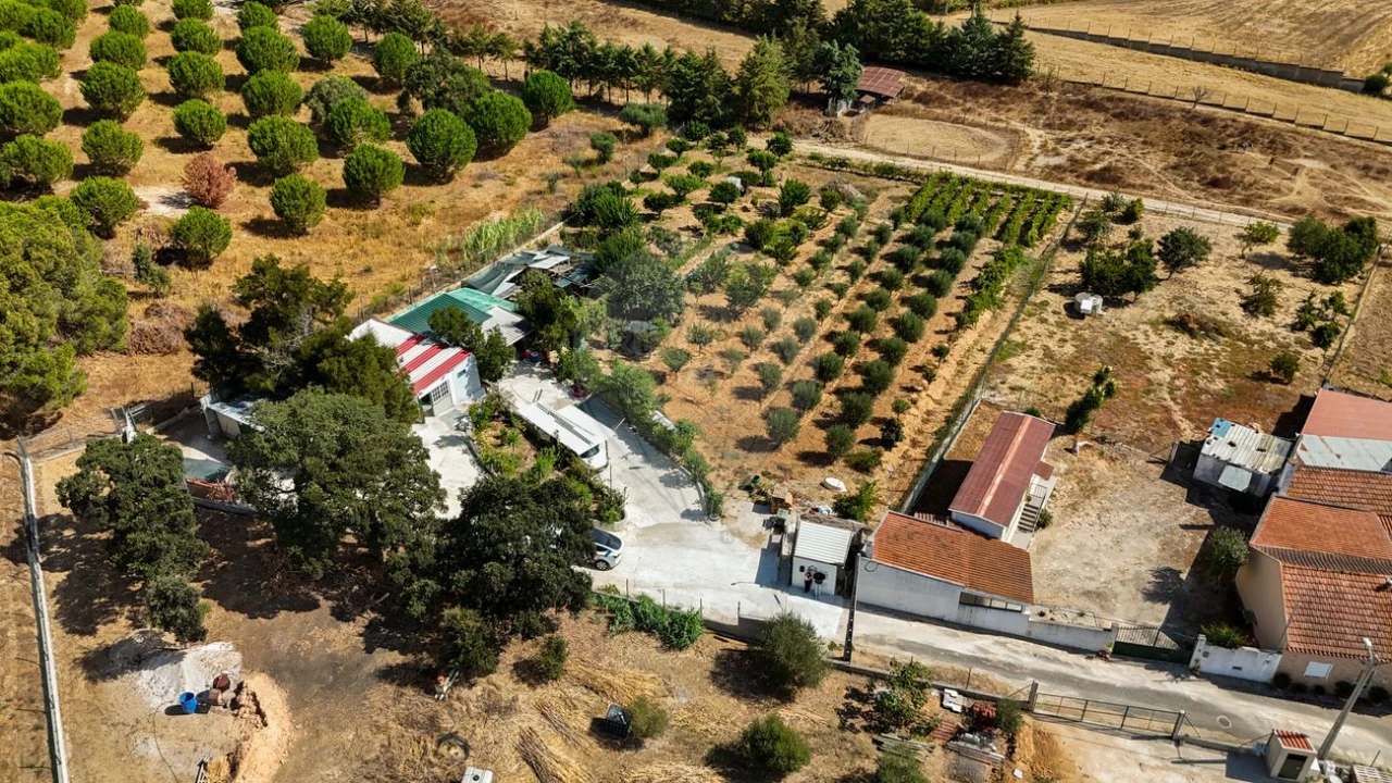 Terreno para Venda em Aveiras de Cima Foto 26