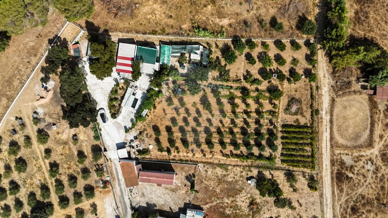 Terreno para Venda em Aveiras de Cima Foto 24